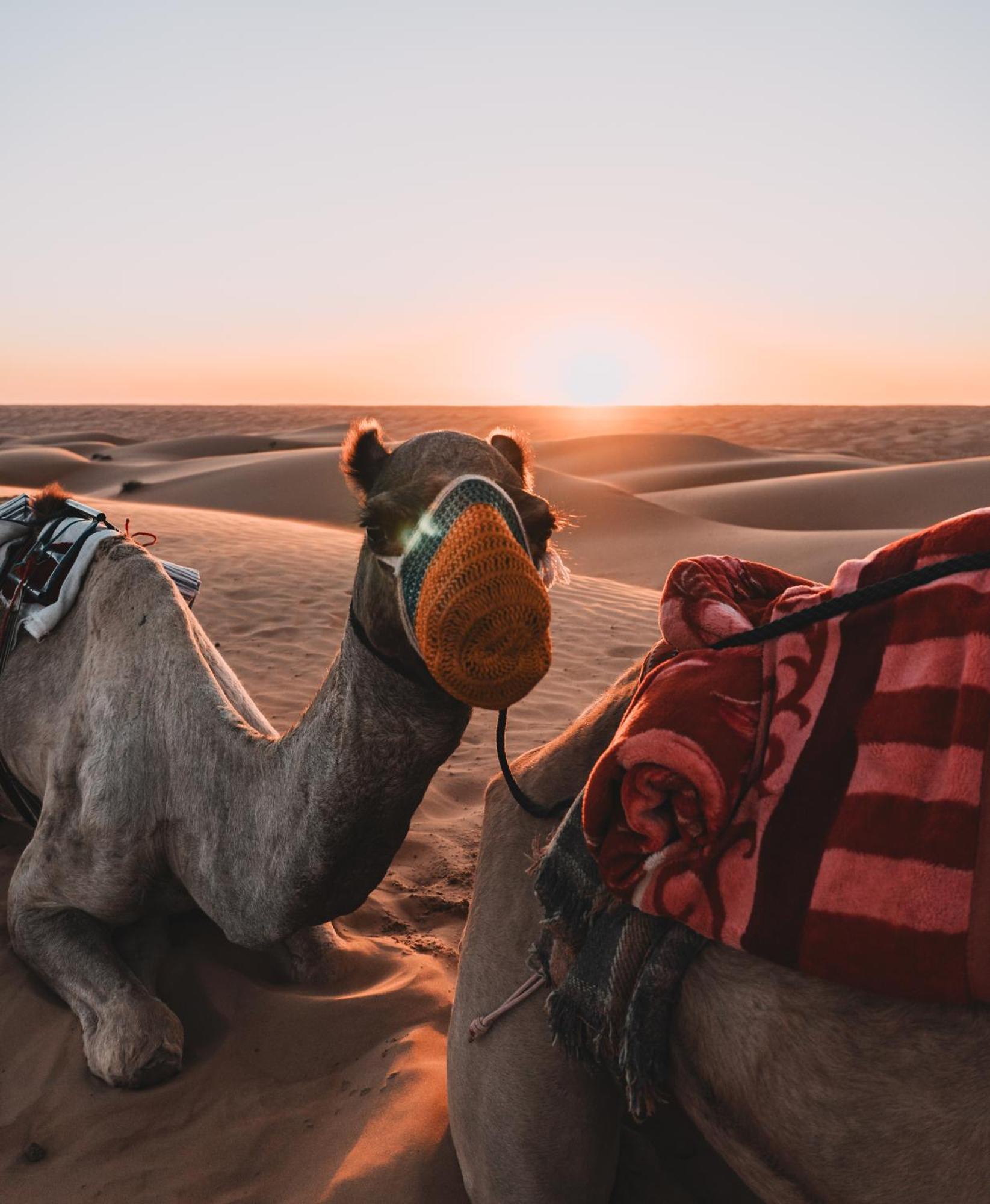 Hotel Hamood Desert Private Camp Al Wāşil Esterno foto